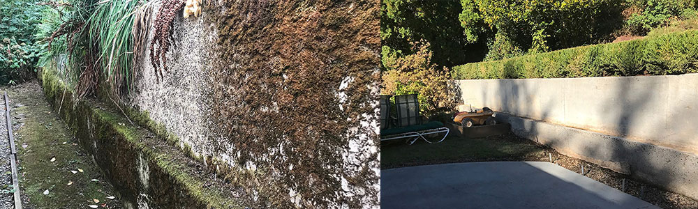 Pressure-Washing-graphic